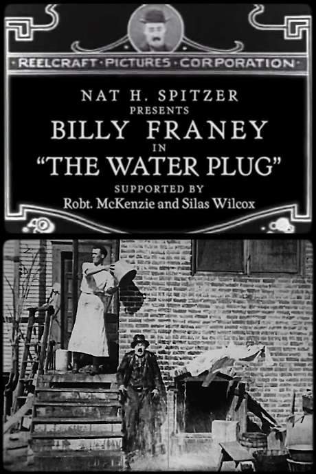 The Water Plug (1920) movie poster