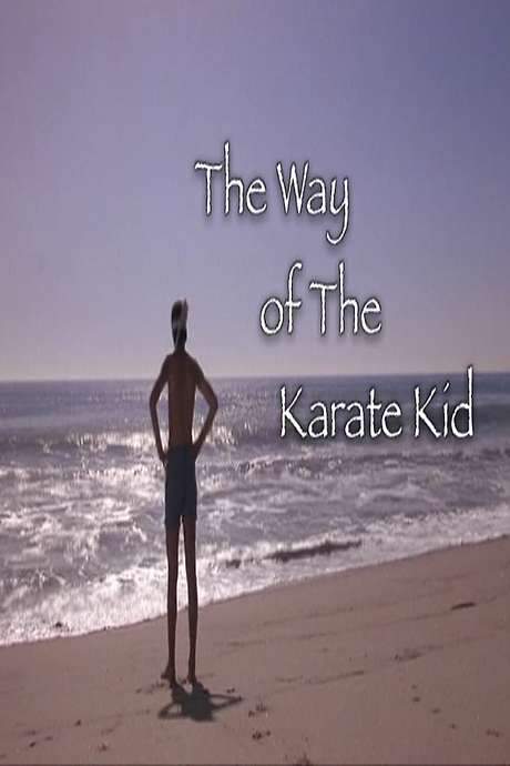 The Way of The Karate Kid (2005) movie poster