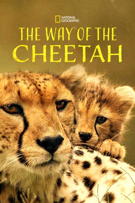 The Way of the Cheetah (2022) movie poster