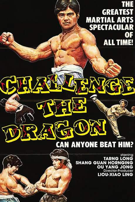 The Way of the Tiger (1973) movie poster
