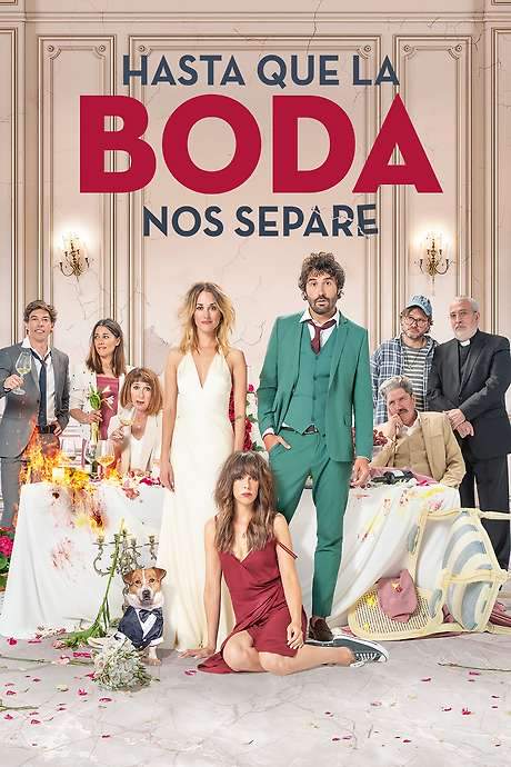 The Wedding Unplanner (2020) movie poster