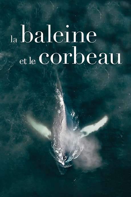 The Whale and the Raven (2019) movie poster