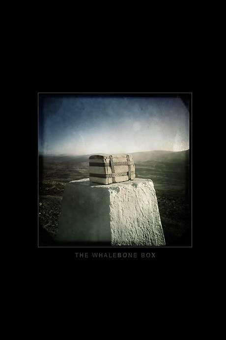 The Whalebone Box (2019) movie poster