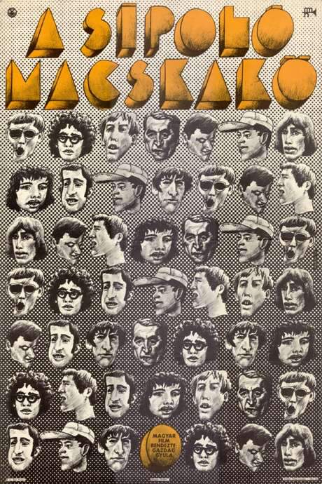 The Whistling Cobblestone (1971) movie poster