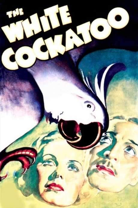 The White Cockatoo (1935) movie poster