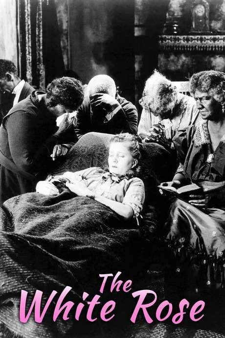 The White Rose (1923) movie poster