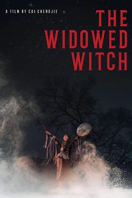 The Widowed Witch (2017) movie poster