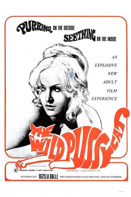 The Wild Pussycat (1969) movie poster