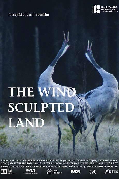 The Wind Sculpted Land (2018) movie poster