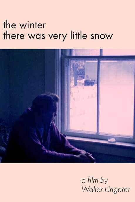 The Winter There Was Very Little Snow (1982) movie poster