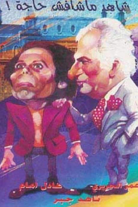 The Witness Who Didn’t See Anything (1976) movie poster