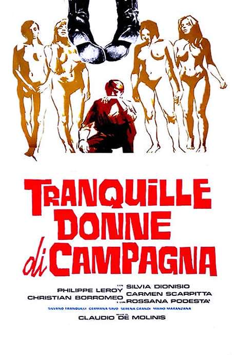 The Women of Quiet Country (1980) movie poster