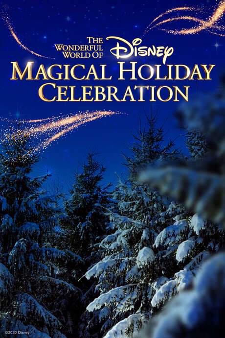 The Wonderful World of Disney: Magical Holiday Celebration (2020) movie poster