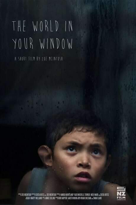 The World In Your Window (2017) movie poster