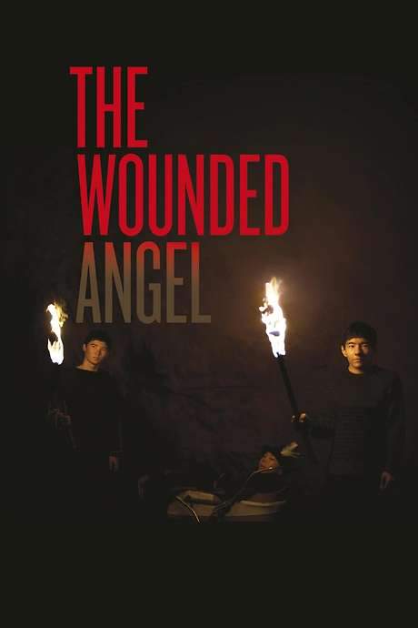 The Wounded Angel (2016) movie poster