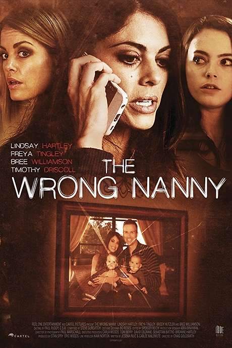 The Wrong Nanny (2017) movie poster
