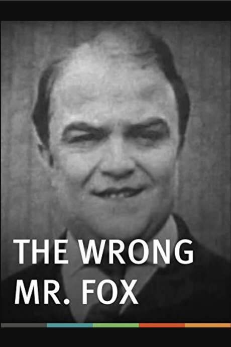 The Wrong Mr. Fox (1917) movie poster