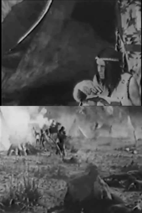 The Yaqui Cur (1913) movie poster