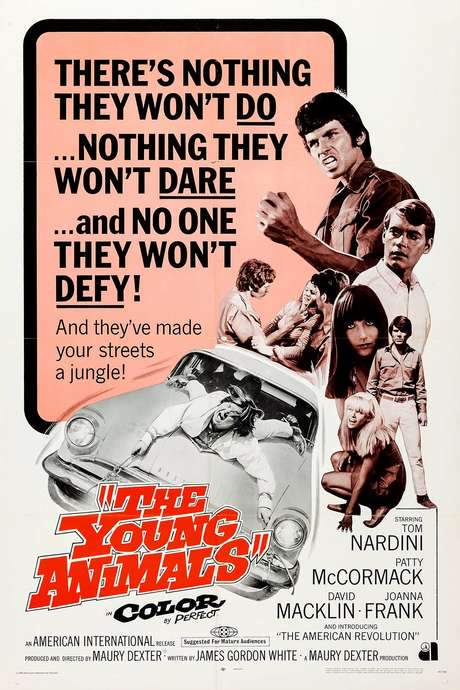 The Young Animals (1968) movie poster
