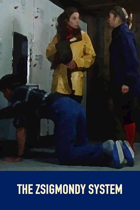 The Zsigmondy System (2000) movie poster