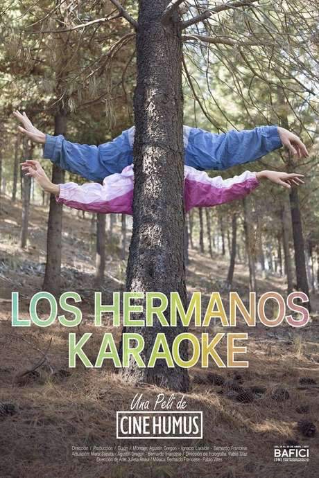 The karaoke brothers (2017) movie poster