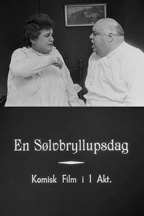 Their Silver Wedding (1920) movie poster