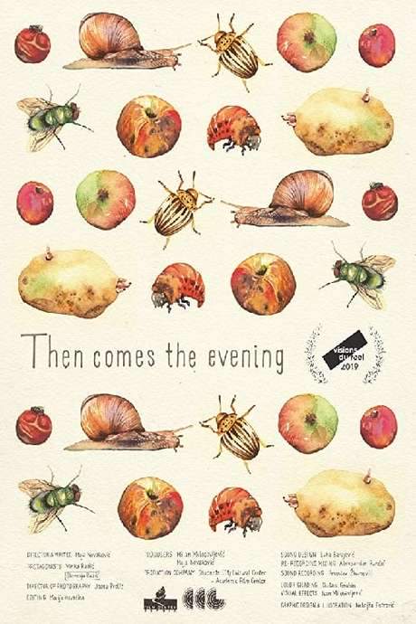 Then Comes the Evening (2019) movie poster