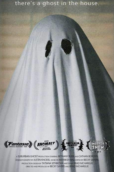 There’s a Ghost in the House (2020) movie poster