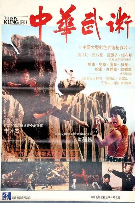 This Is Kung Fu (1983) movie poster
