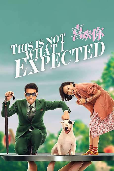 This Is Not What I Expected (2017) movie poster