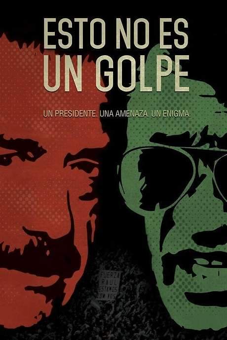 This Is Not a Coup (2018) movie poster