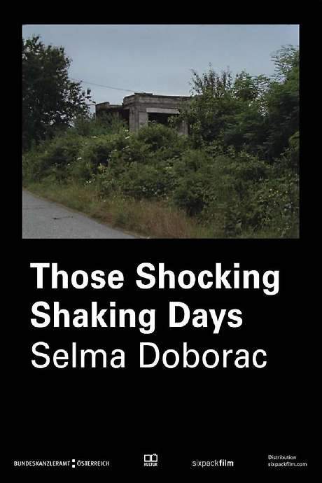 Those Shocking Shaking Days (2016) movie poster