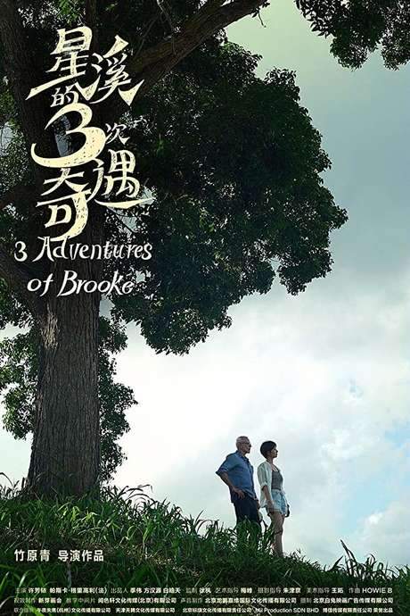 Three Adventures of Brooke (2018) movie poster