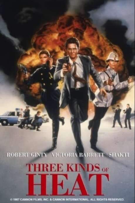 Three Kinds of Heat (1987) movie poster