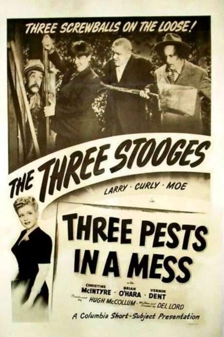 Three Pests in a Mess (1945) movie poster