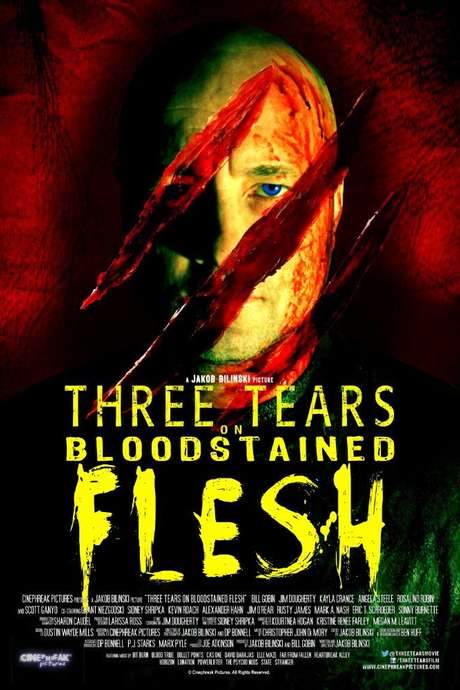 Three Tears on Bloodstained Flesh (2017) movie poster