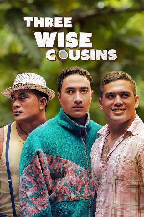 Three Wise Cousins (2016) movie poster