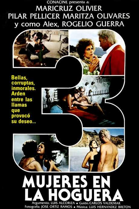 Three Women in a Bonfire (1979) movie poster