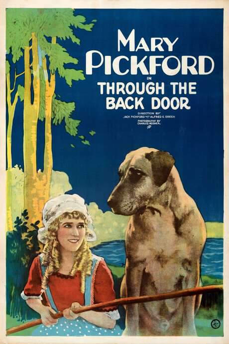Through The Back Door (1921) movie poster