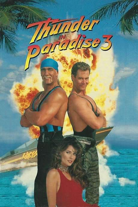Thunder in Paradise 3 (1995) movie poster