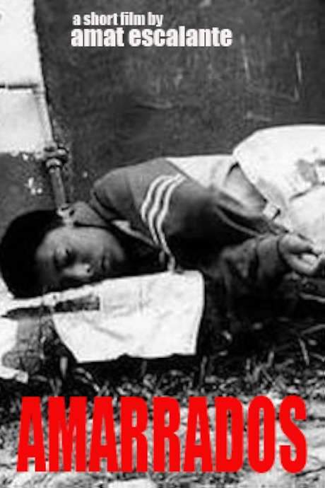 Tied Up (2002) movie poster