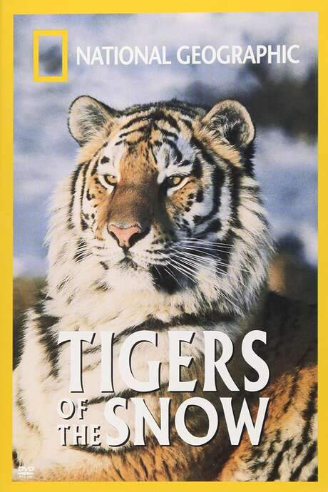 Tigers of the Snow (1997) movie poster