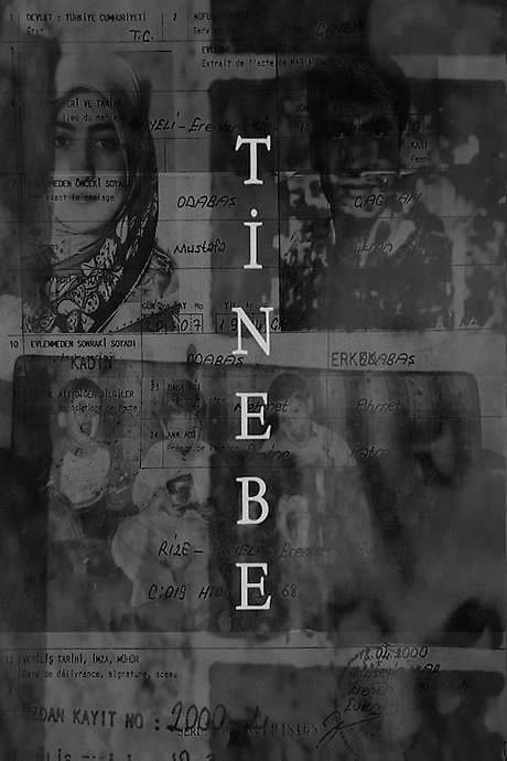 This experimental film explores the recall of memories through the perspectives of a child, their father, and their mother. It uses repetition and delayed imagery to examine how photographs and videos are reduced and manipulated by the camera, contrasting with the richness of memory. The film delves into the complexities of family relationships and the subjective nature of remembering.