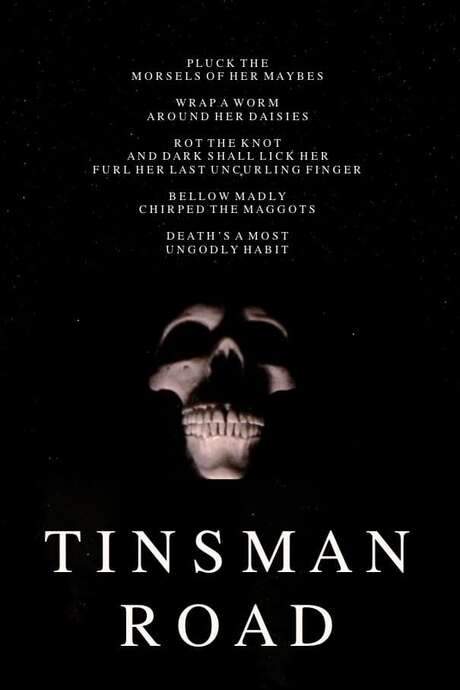 Tinsman Road (2025) movie poster