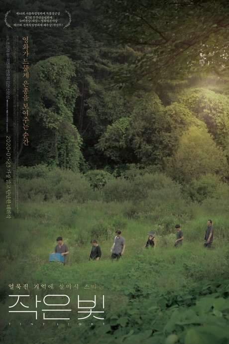Tiny Light (2018) movie poster