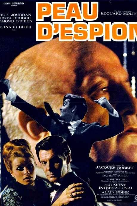 To Commit a Murder (1967) movie poster