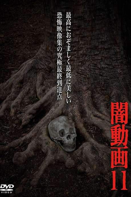 Tokyo Videos of Horror 11 (2014) movie poster