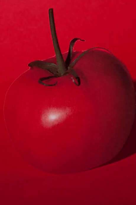 A charming and visually inventive film explores the unexpected significance of a common fruit. Through wordplay and striking imagery, it examines our relationship with food, questioning how we define and consume everyday items and how they, in turn, shape our understanding of ourselves. This is the first installment in a series of short films that playfully re-evaluate familiar foods.