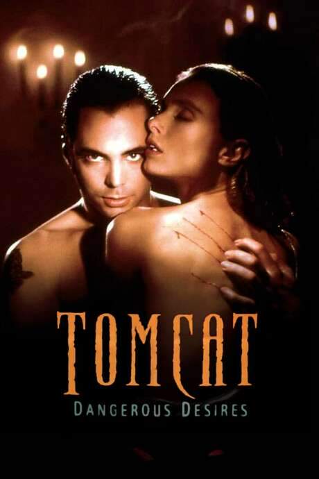 Tomcat: Dangerous Desires (1993) movie poster