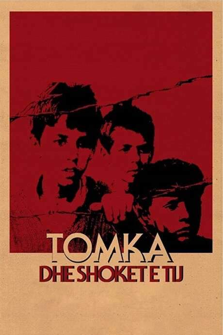 Tomka and His Friends (1977) movie poster